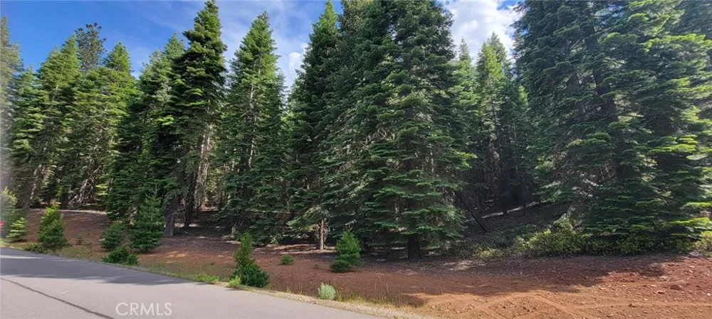 233 Snowy Peak Lake Almanor, CA 96137