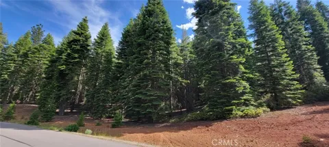 233 Snowy Peak