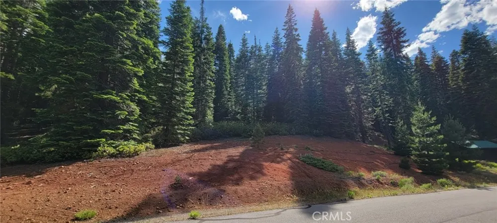 233 Snowy Peak Lake Almanor, CA 96137