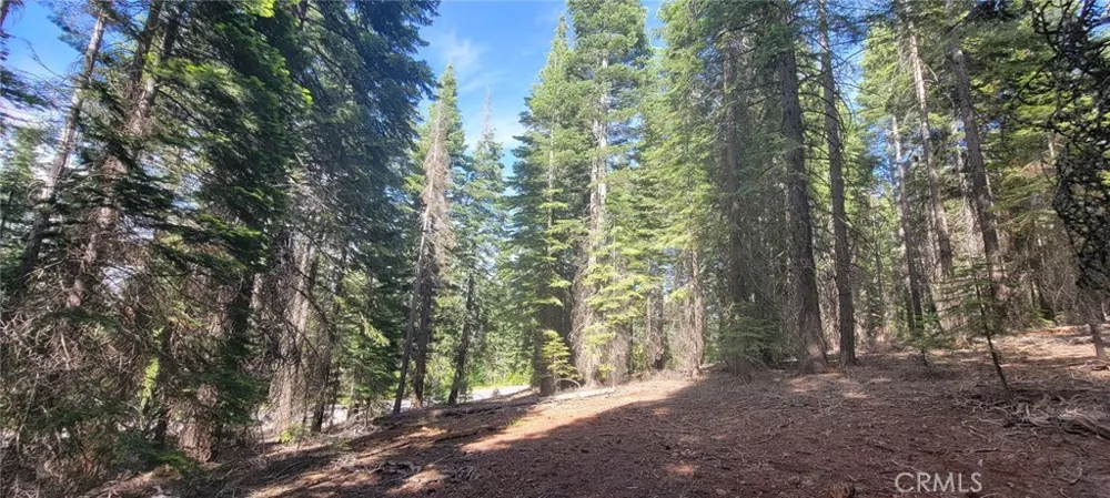 233 Snowy Peak Lake Almanor, CA 96137