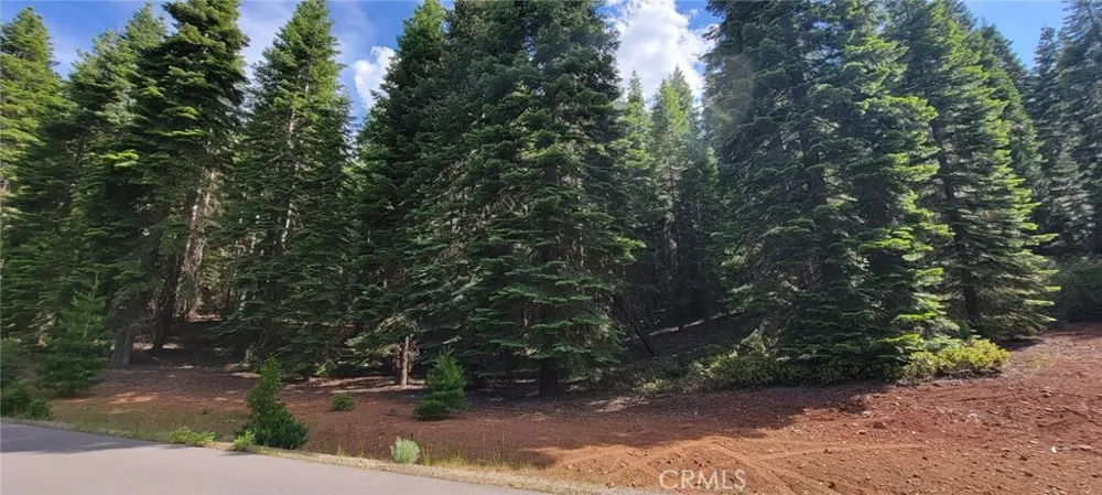 233 Snowy Peak Lake Almanor, CA 96137