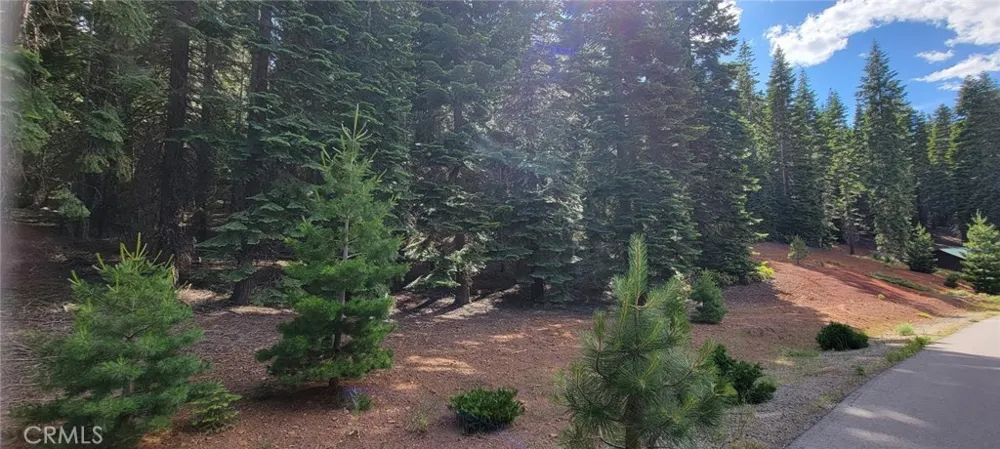 233 Snowy Peak Lake Almanor, CA 96137