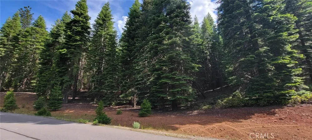 233 Snowy Peak Lake Almanor, CA 96137