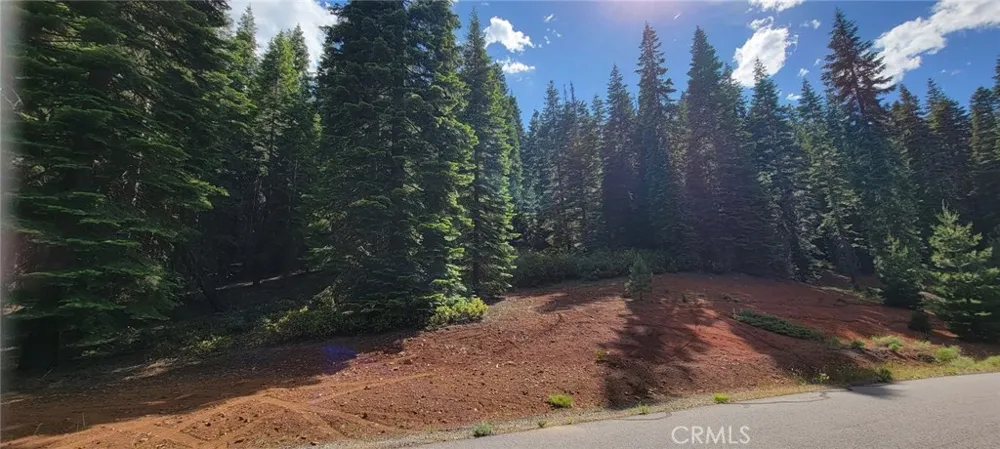 233 Snowy Peak Lake Almanor, CA 96137
