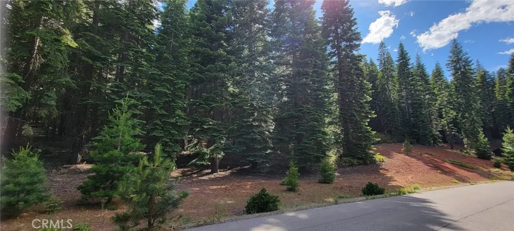 233 Snowy Peak Lake Almanor, CA 96137