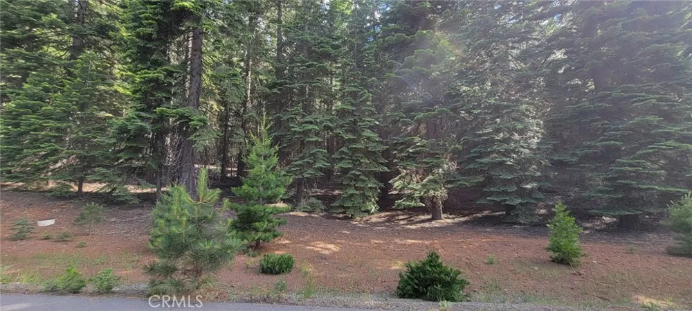233 Snowy Peak Lake Almanor, CA 96137