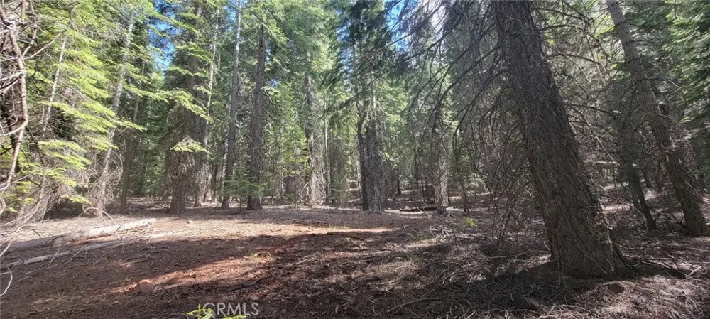 233 Snowy Peak Lake Almanor, CA 96137