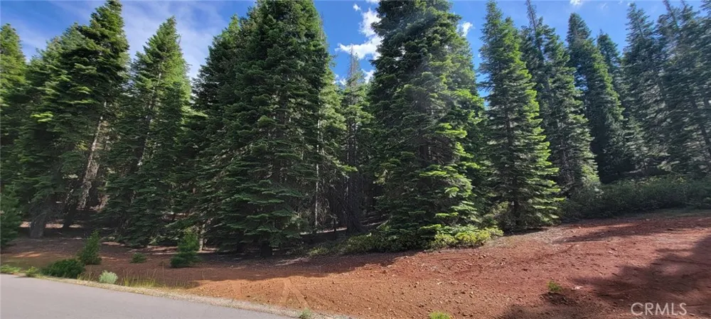 233 Snowy Peak Lake Almanor, CA 96137