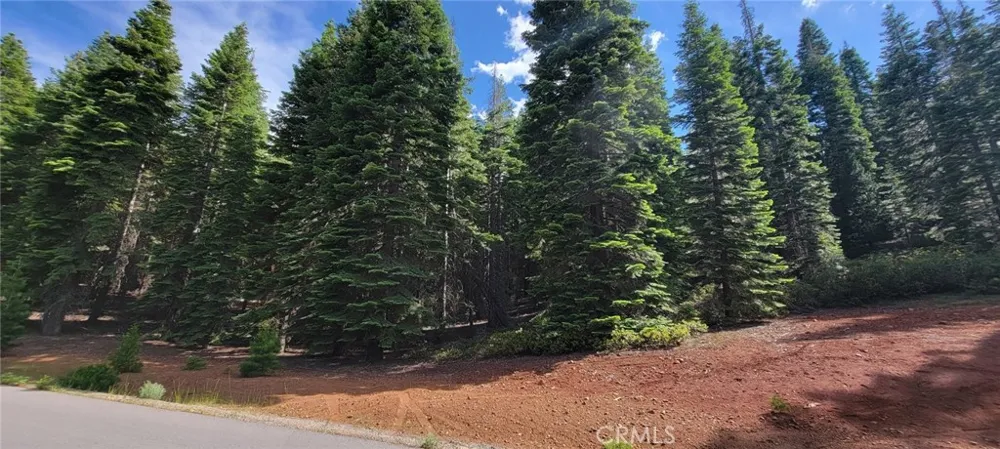 233 Snowy Peak Lake Almanor, CA 96137