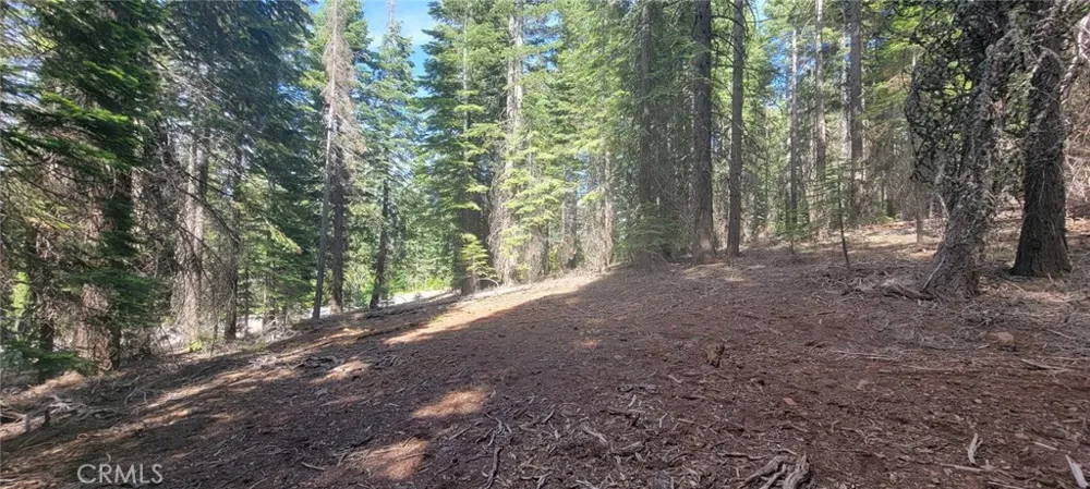 233 Snowy Peak Lake Almanor, CA 96137