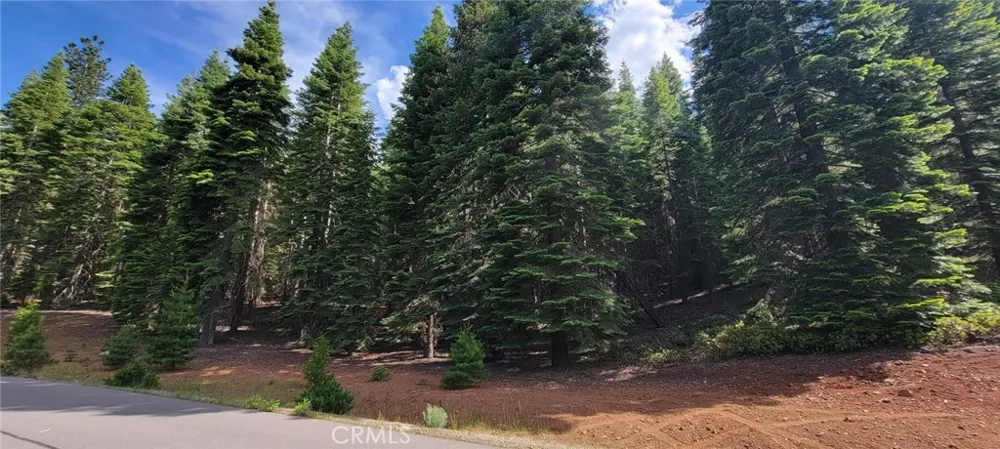 233 Snowy Peak Lake Almanor, CA 96137