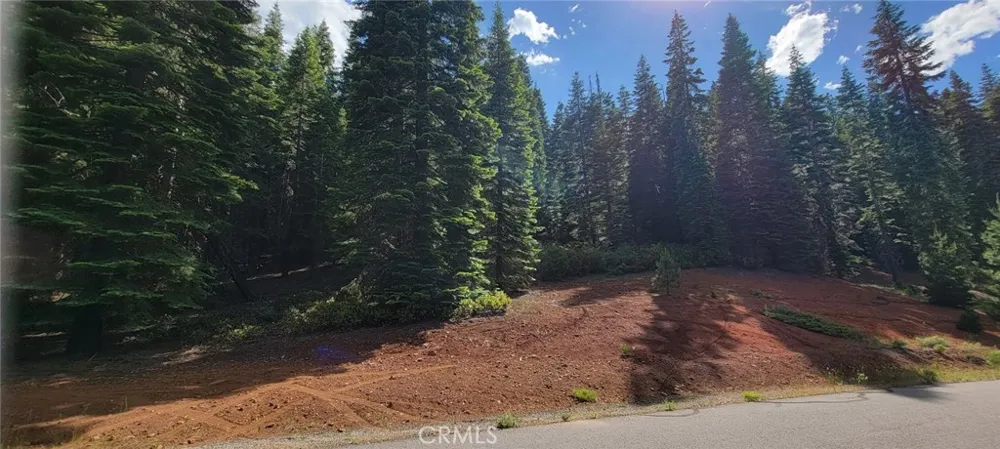 233 Snowy Peak Lake Almanor, CA 96137