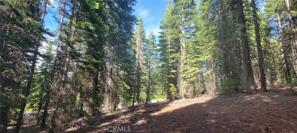 233 Snowy Peak Lake Almanor, CA 96137