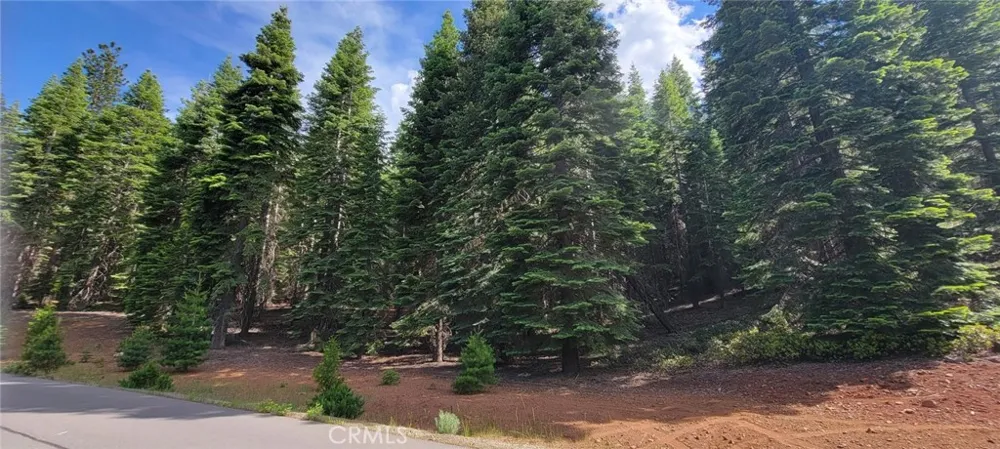 233 Snowy Peak Lake Almanor, CA 96137