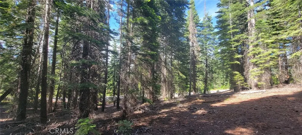 233 Snowy Peak Lake Almanor, CA 96137