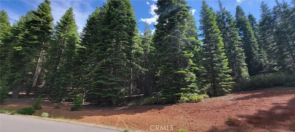 233 Snowy Peak Lake Almanor, CA 96137