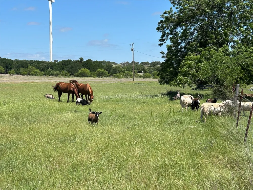 495 FM 2005 Goldthwaite, TX 76844