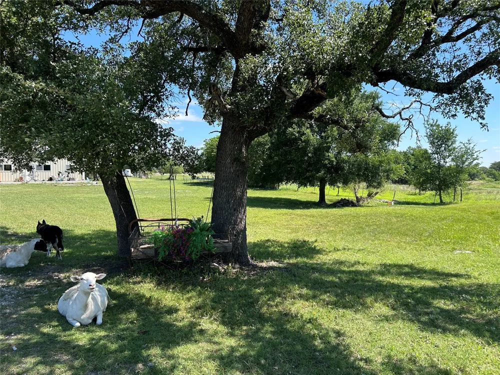 495 FM 2005 Goldthwaite, TX 76844