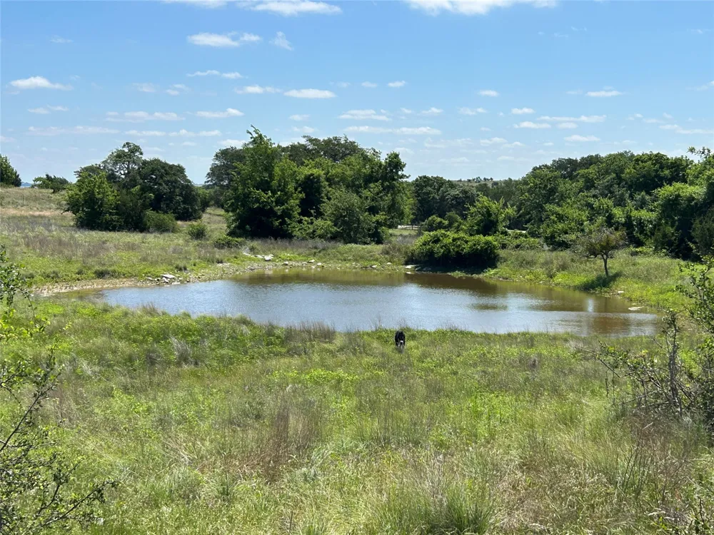 495 FM 2005 Goldthwaite, TX 76844