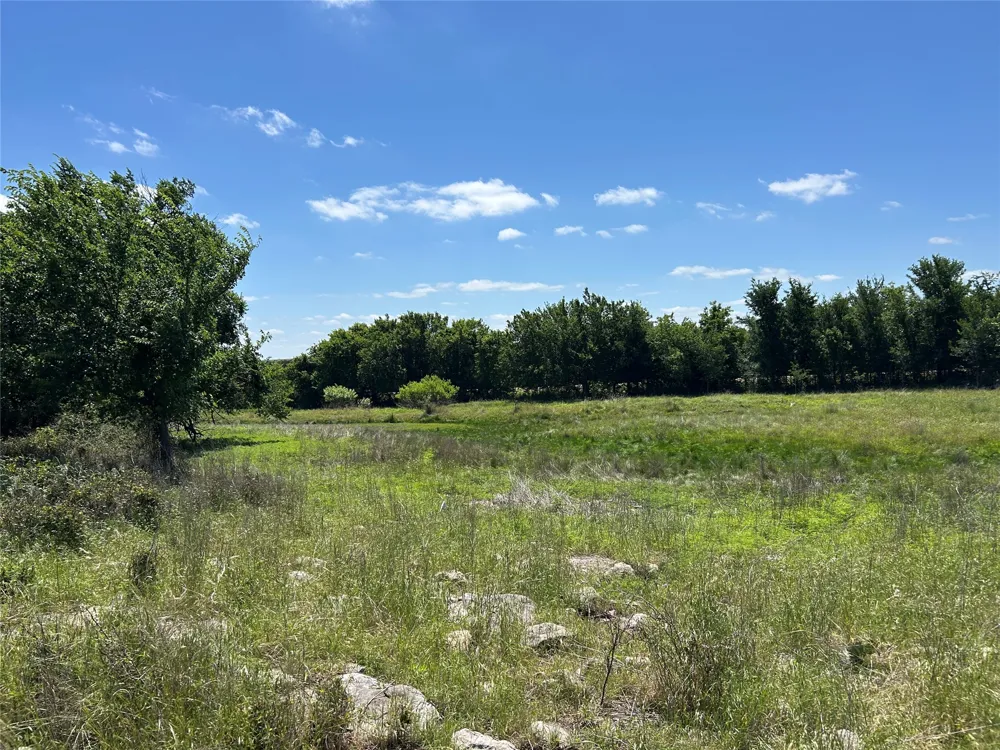 495 FM 2005 Goldthwaite, TX 76844