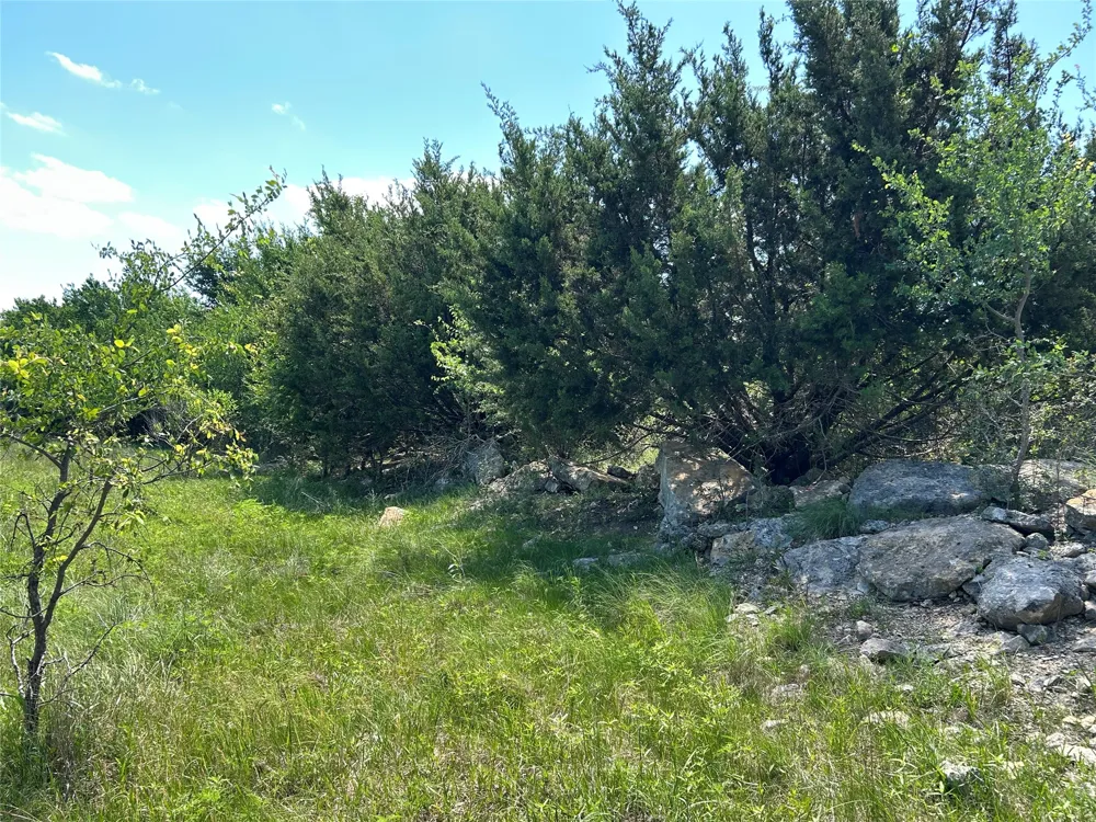 495 FM 2005 Goldthwaite, TX 76844