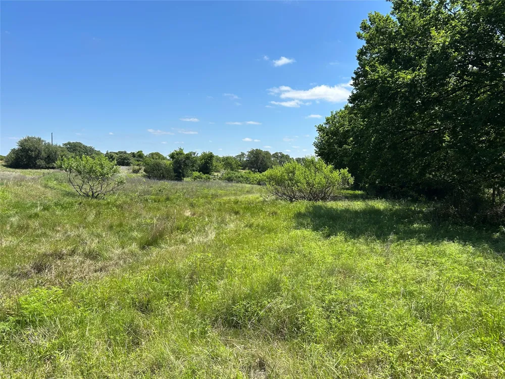 495 FM 2005 Goldthwaite, TX 76844