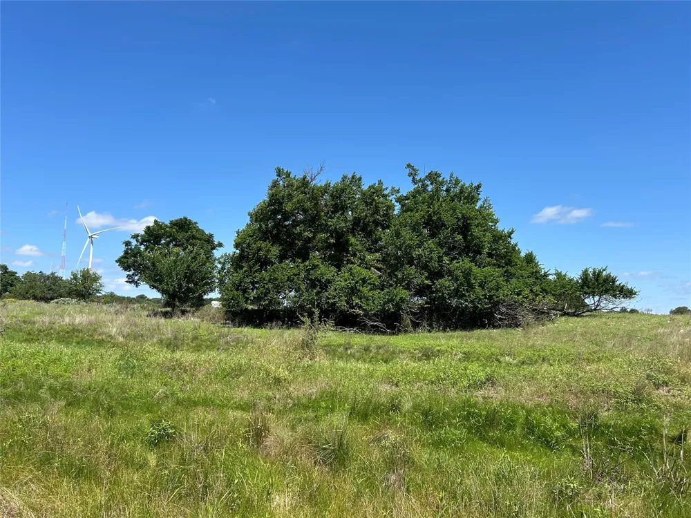 495 FM 2005 Goldthwaite, TX 76844
