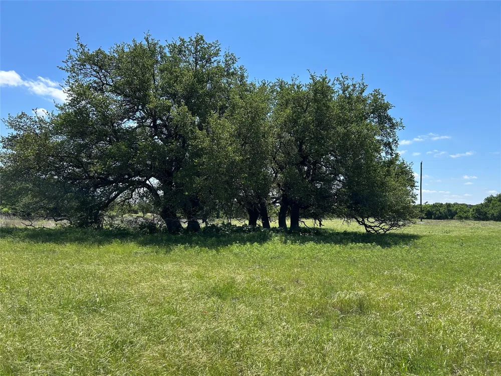 495 FM 2005 Goldthwaite, TX 76844