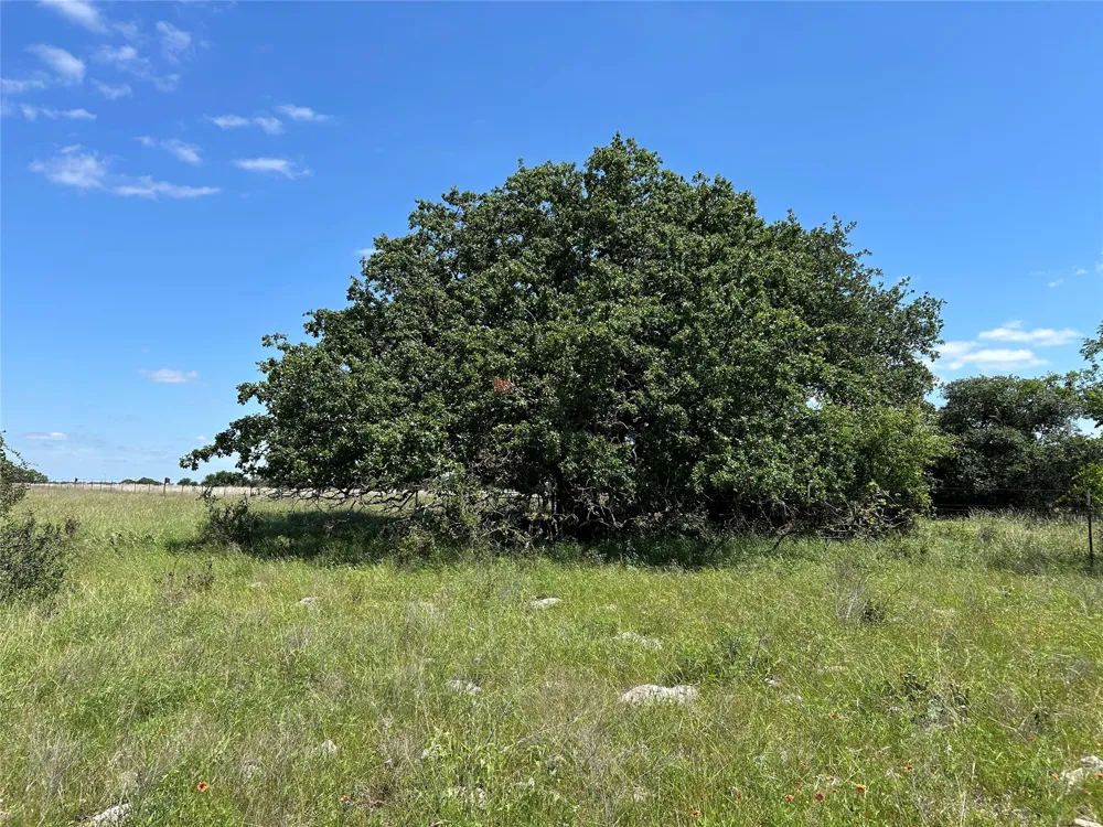 495 FM 2005 Goldthwaite, TX 76844