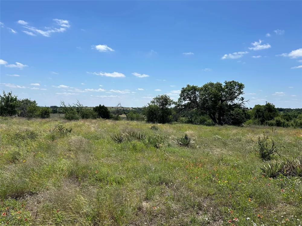 495 FM 2005 Goldthwaite, TX 76844