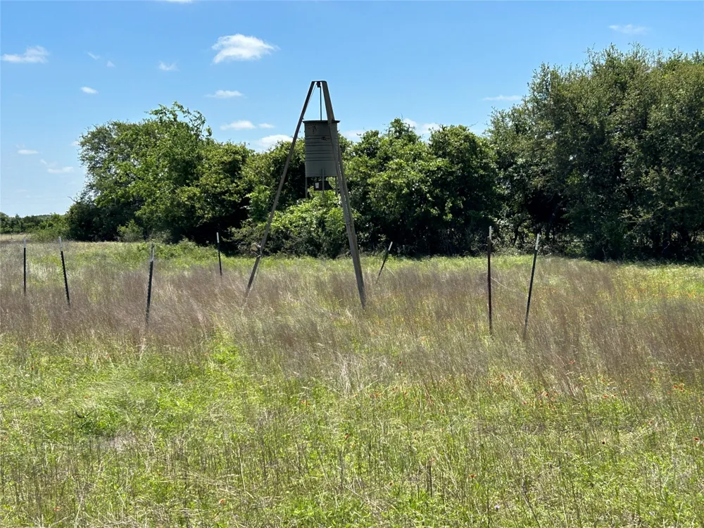 495 FM 2005 Goldthwaite, TX 76844