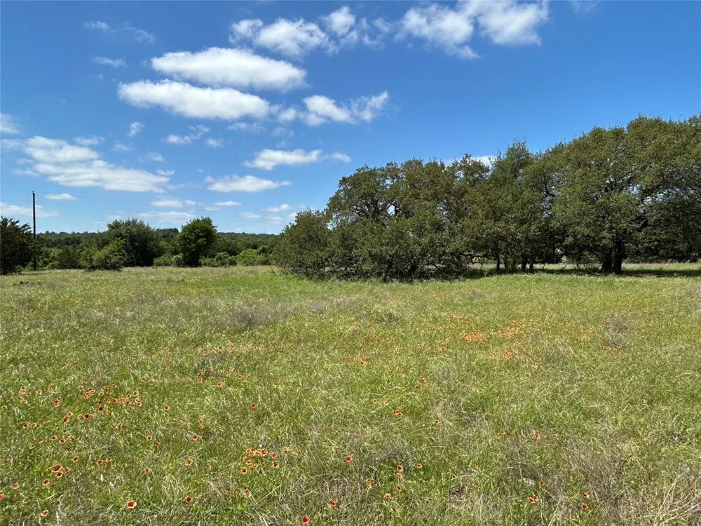 495 FM 2005 Goldthwaite, TX 76844