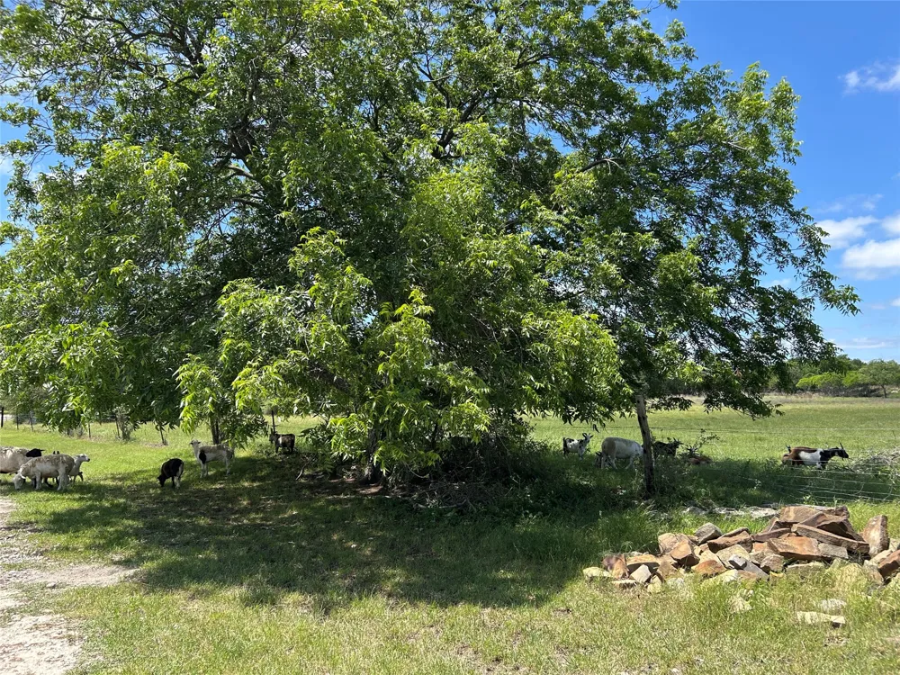 495 FM 2005 Goldthwaite, TX 76844