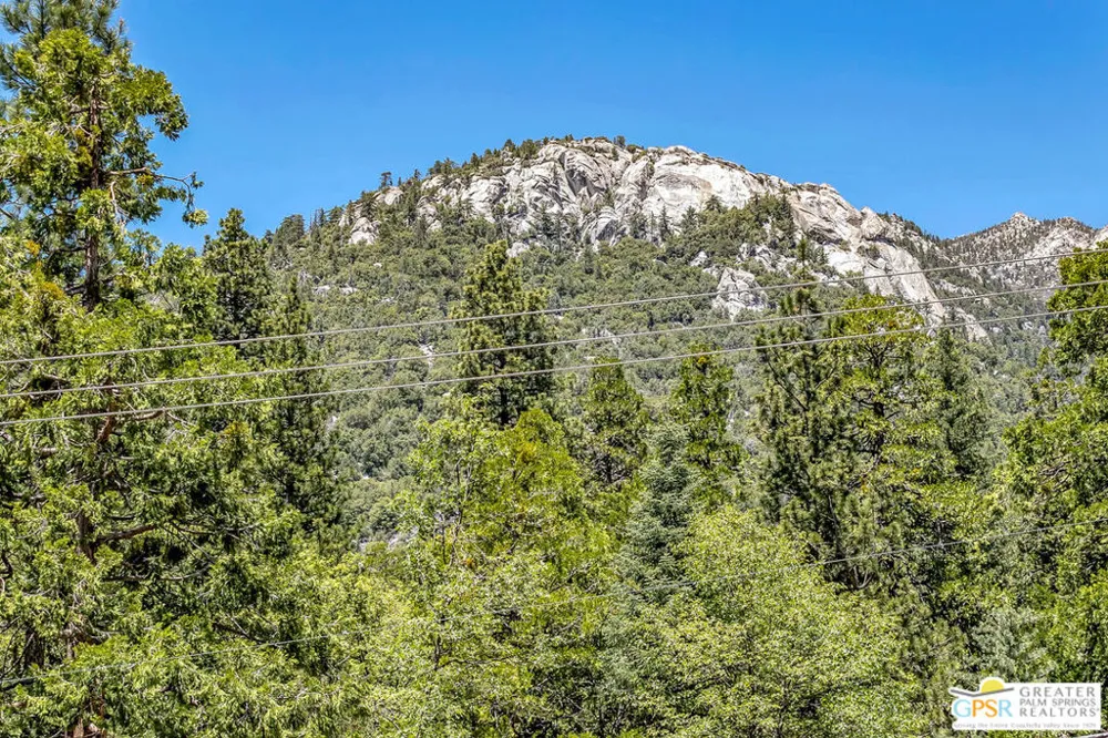 24924 Fern Valley Road Idyllwild, CA 92549