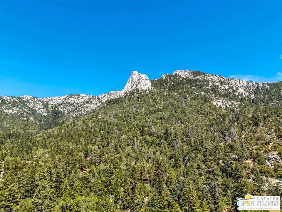 24924 Fern Valley Road Idyllwild, CA 92549