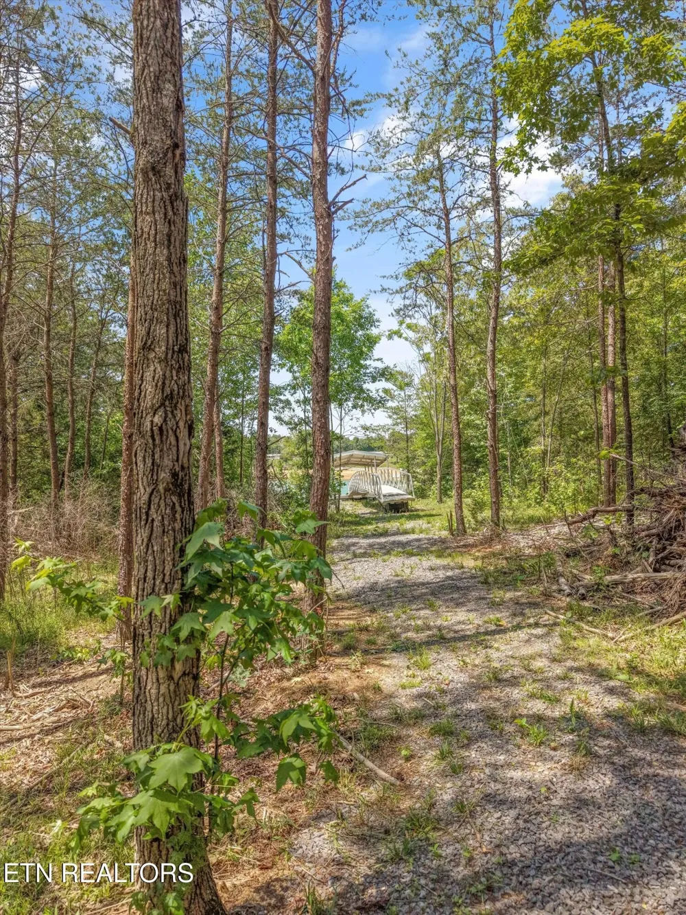 1925 Harbor Lane Dandridge, TN 37725