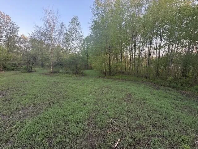3775 16 Mile Middle Branch Township, MI 49665