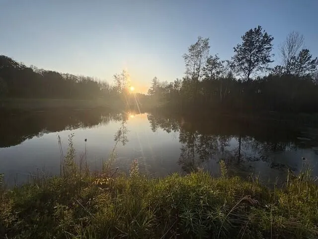 3775 16 Mile Middle Branch Township, MI 49665