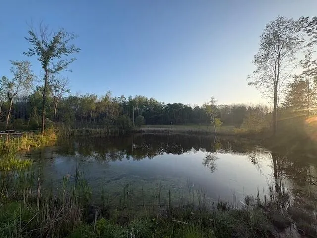 3775 16 Mile Middle Branch Township, MI 49665