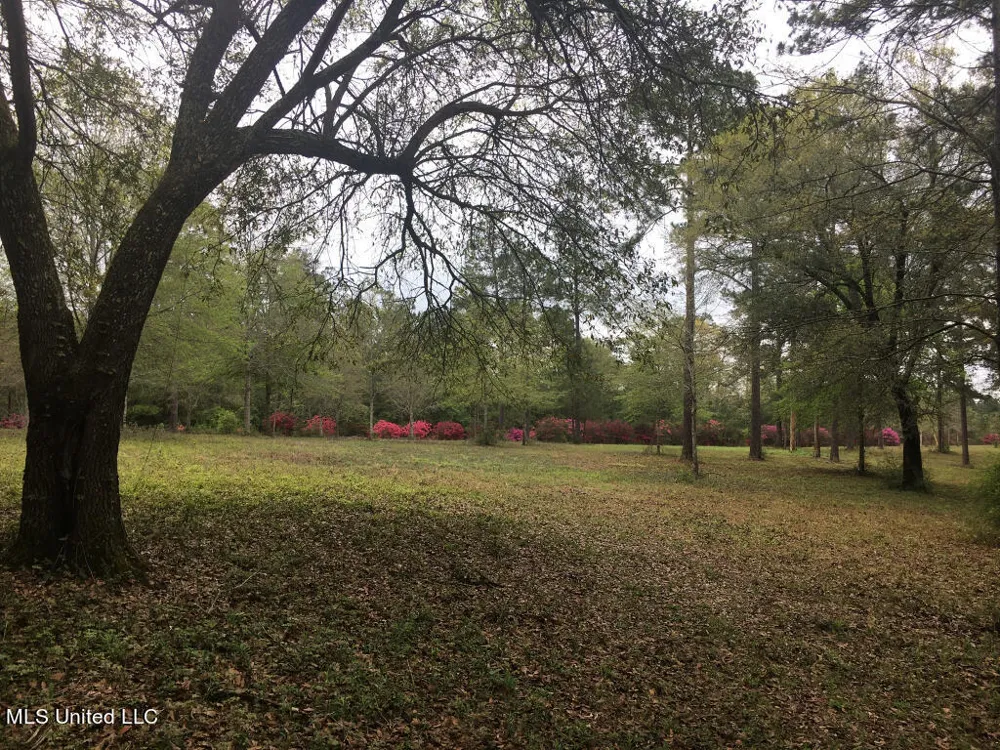 1 Lost Lunker Drive Poplarville, MS 39470