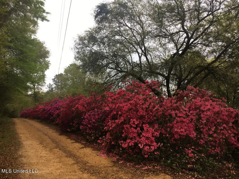 1 Lost Lunker Drive Poplarville, MS 39470