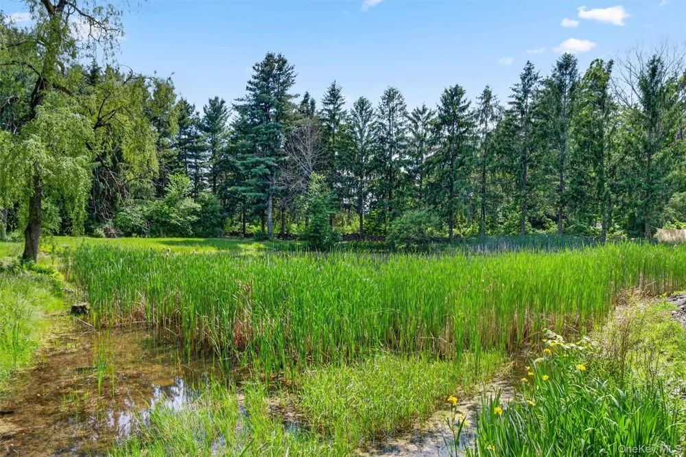 60 Eddy Road Verbank, NY 12585