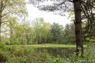 60 Eddy Road Verbank, NY 12585