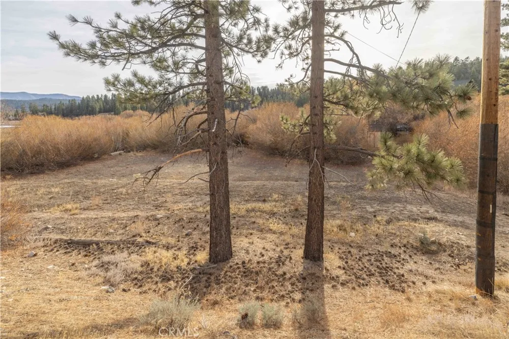 39271 Seminole Fawnskin, CA 92333