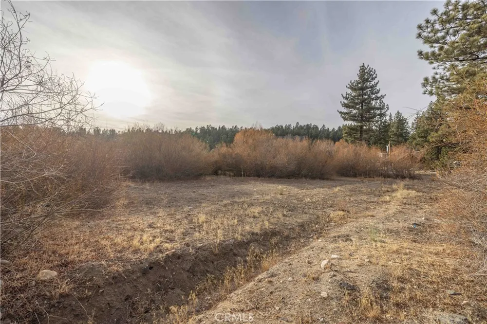 39271 Seminole Fawnskin, CA 92333