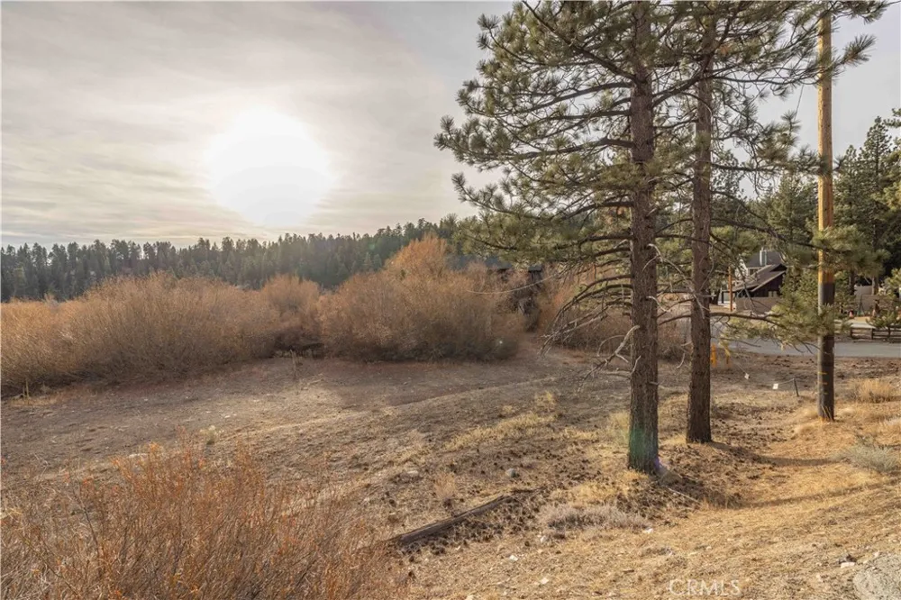 39271 Seminole Fawnskin, CA 92333