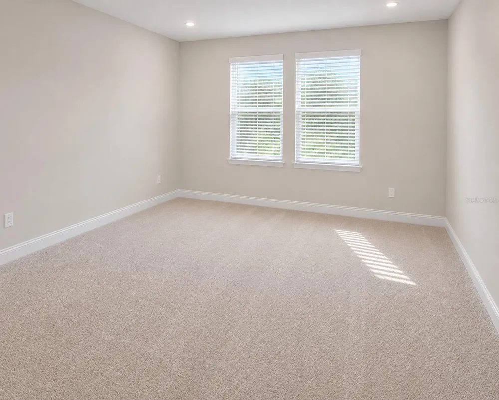 10009 SURREY ROSE DRIVE San Antonio, FL 33576