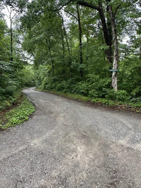 0 Gunson Ridge Road