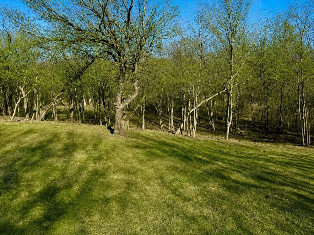 2955 Sonterra Drive Cedar Hill, TX 75104
