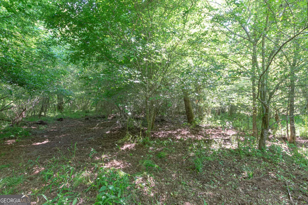 0 Apt-To-Miss RD Monticello, GA 31064